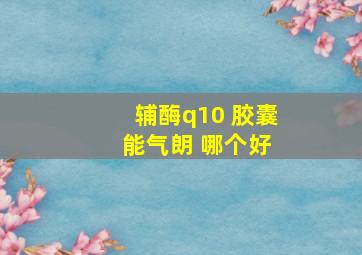 辅酶q10 胶囊 能气朗 哪个好